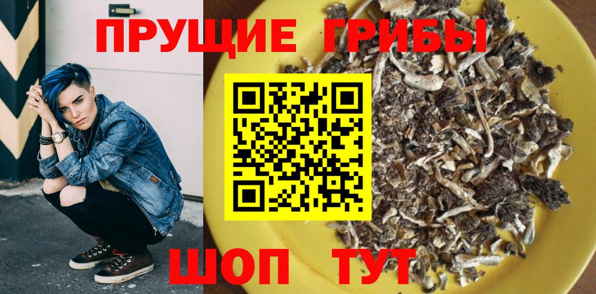 Железноводск  Галлюциногенные грибы GOLDEN TEACHER  Вход с VPN 